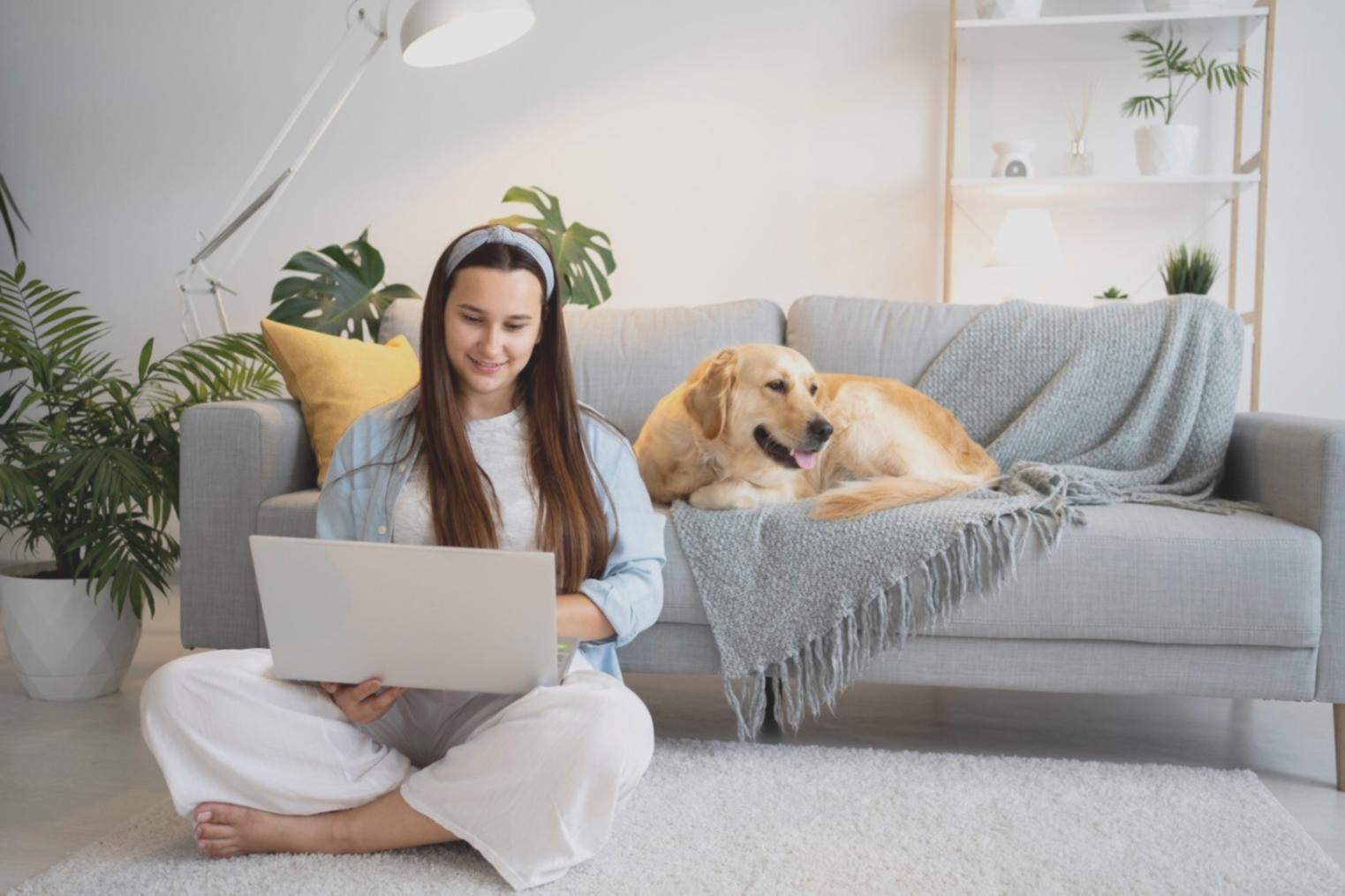 Espace d'apprentissage collaboratif pour la formation en gestion budgétaire
